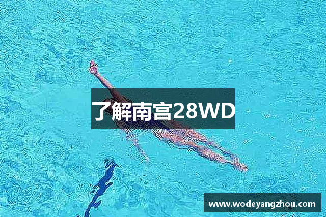 了解南宫28WD